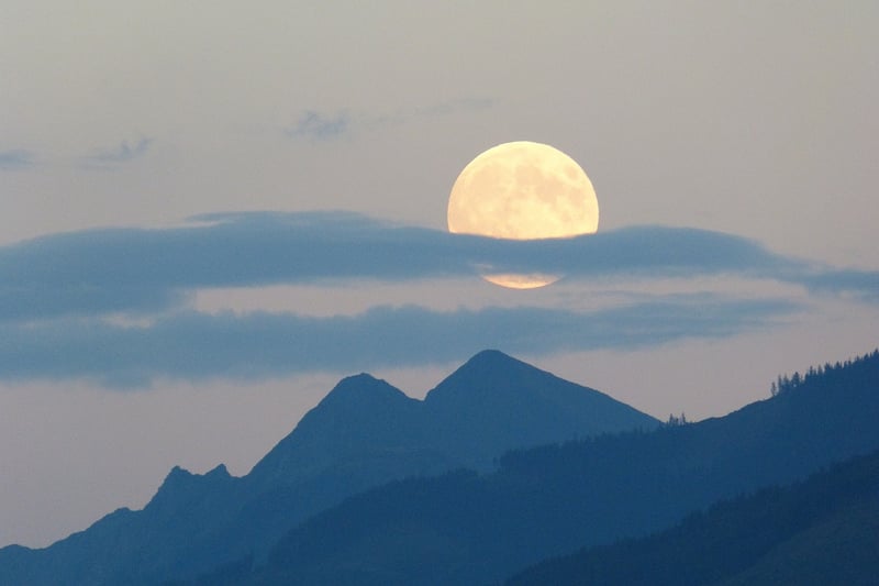 Moonlit Gathering